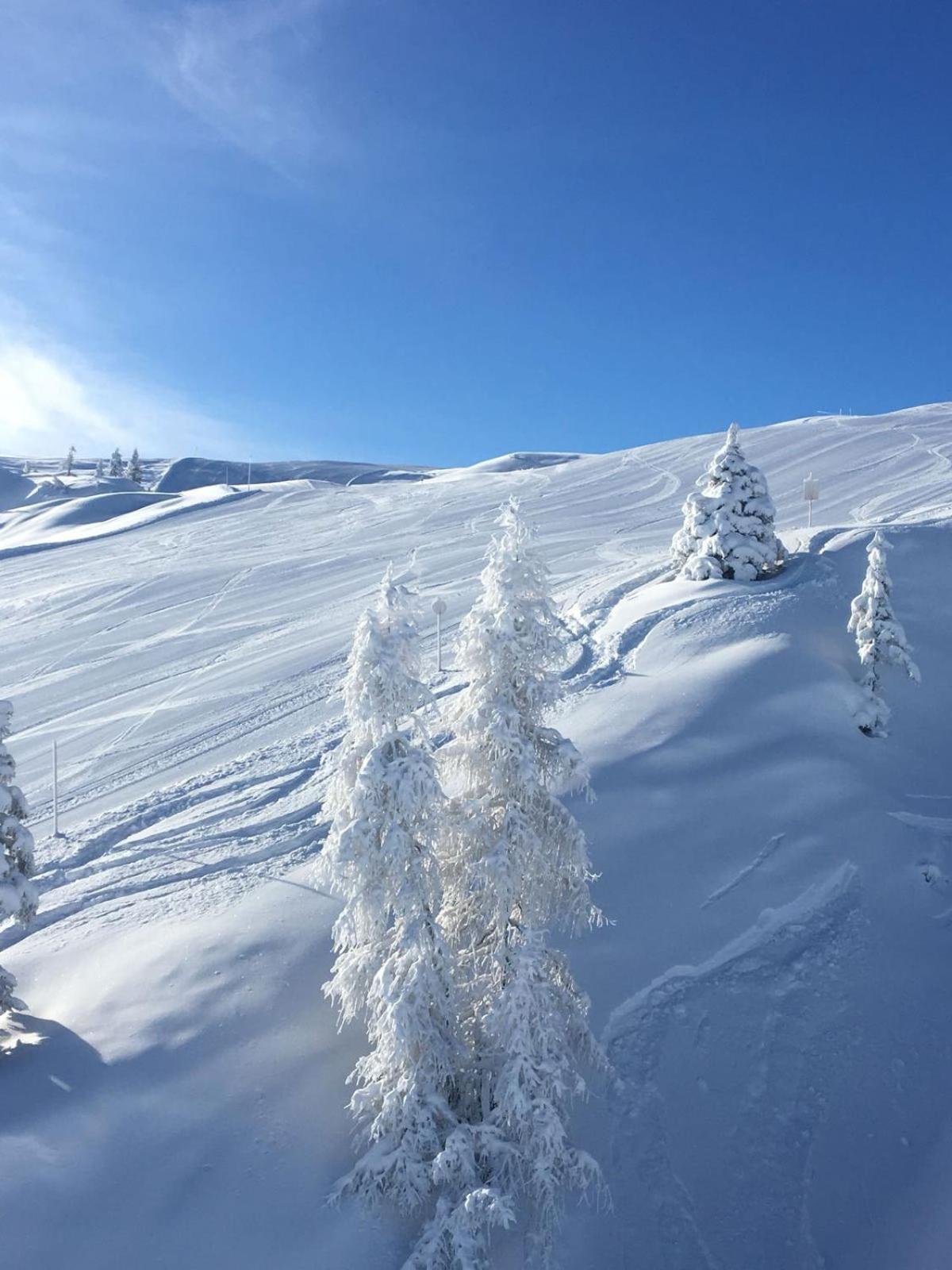 Berggasthof Schatzbergalm Thierbach ภายนอก รูปภาพ